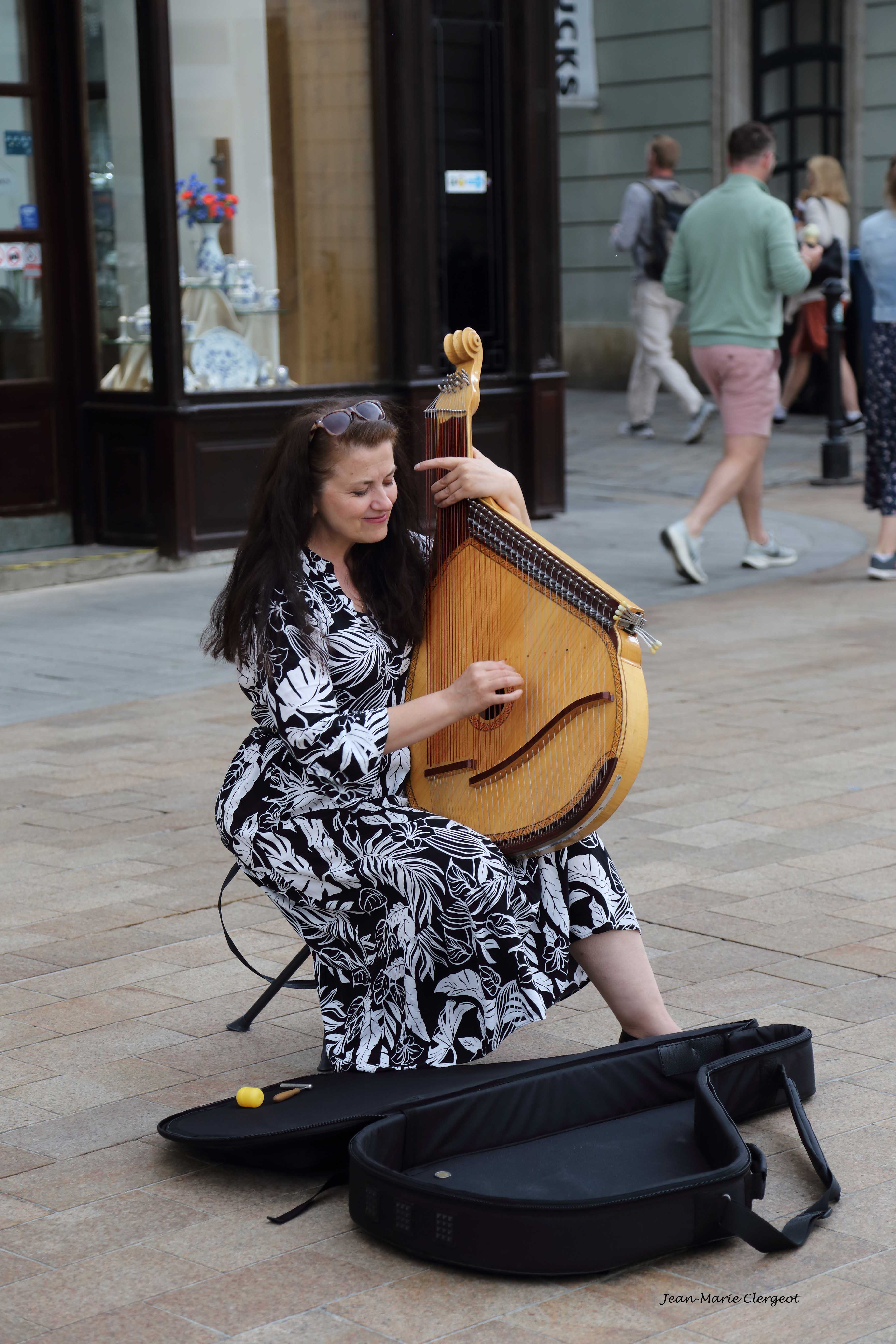 2025 0750 - (Bratislava, Slovaquie) Belle cythare