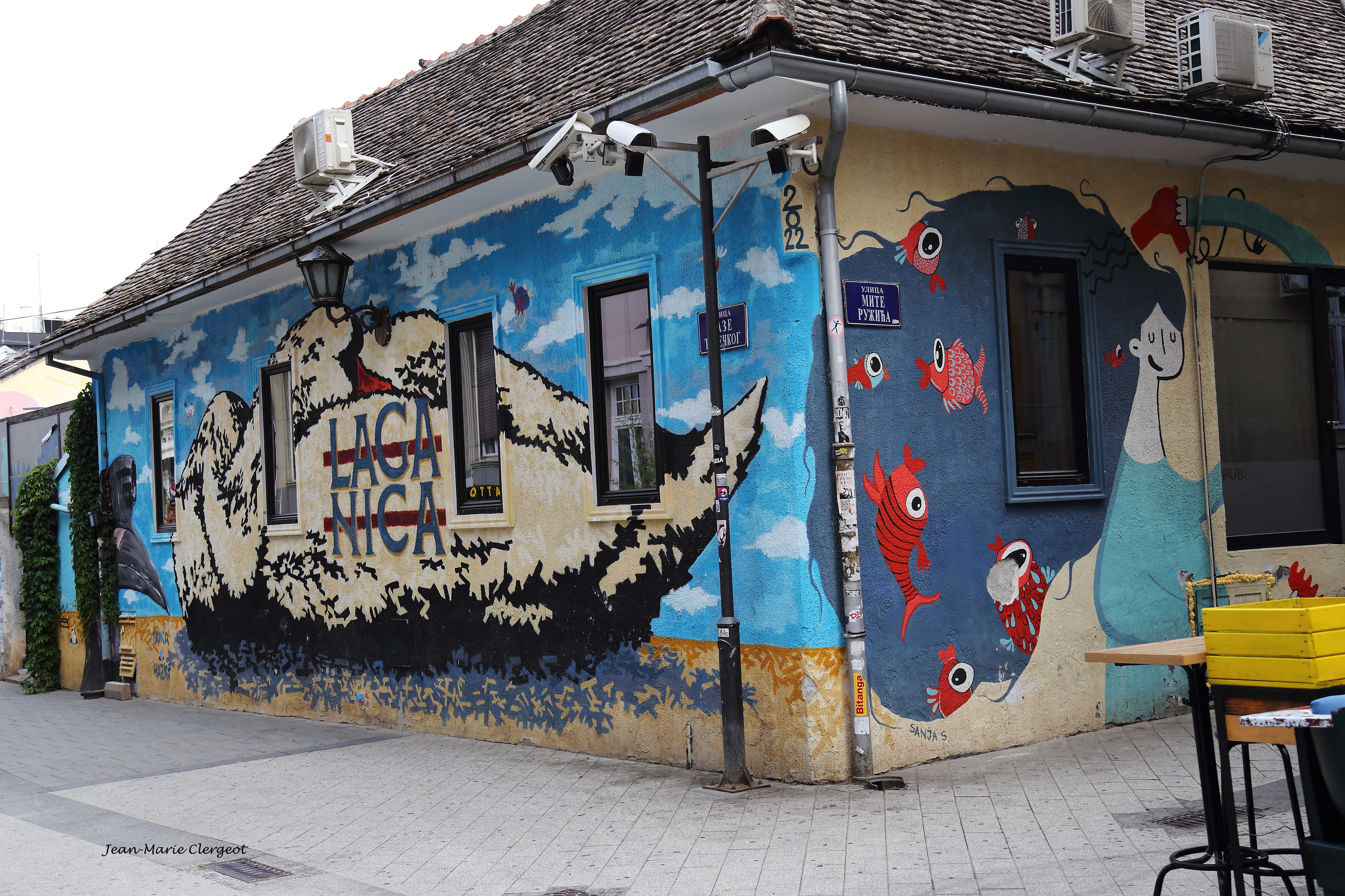 2025 1037 - (Novi Sad, Serbie) Drôle de déco dans Laze Teleckog