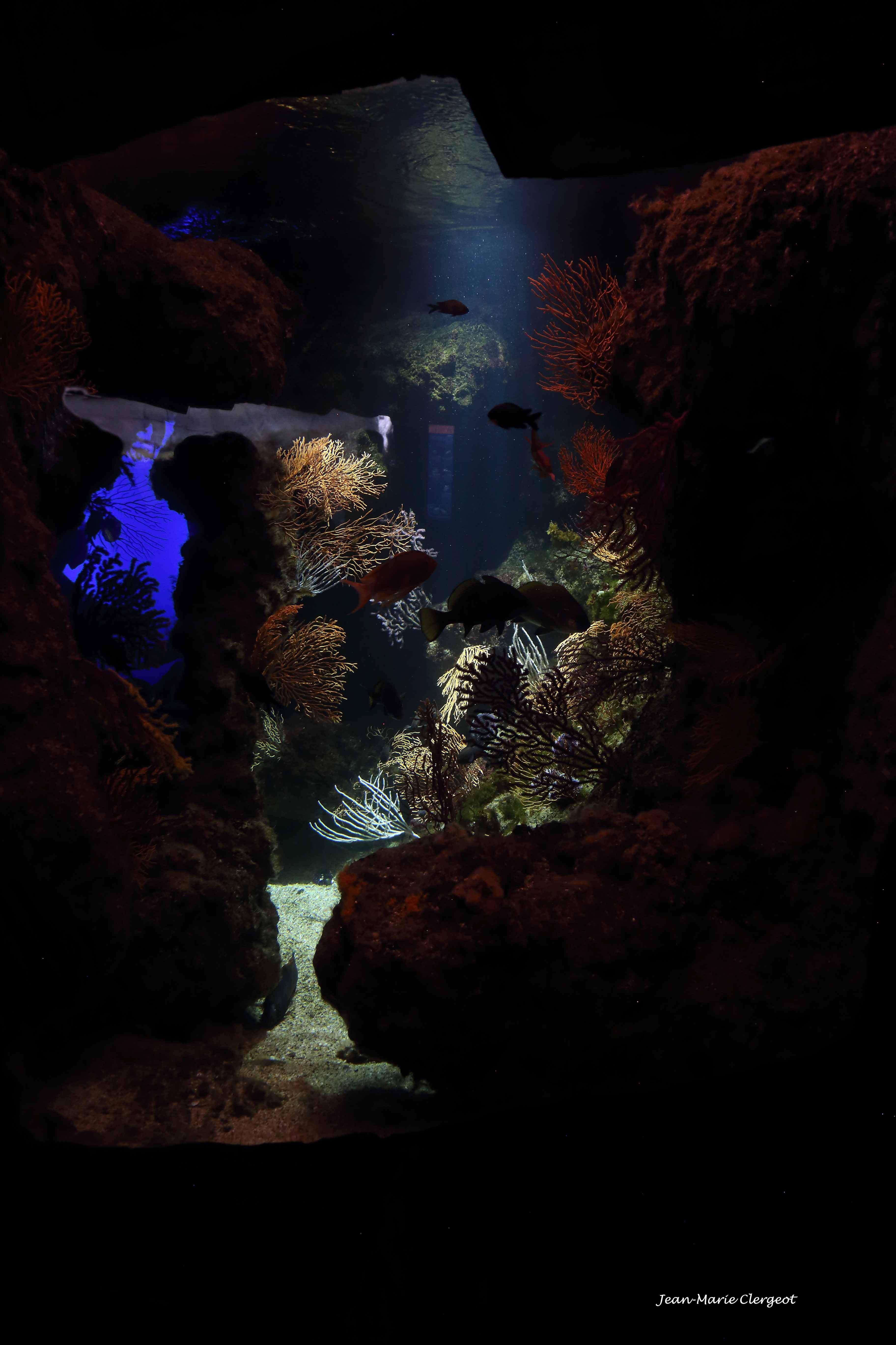 2025 1632 - (La Rochelle) Fonds marins