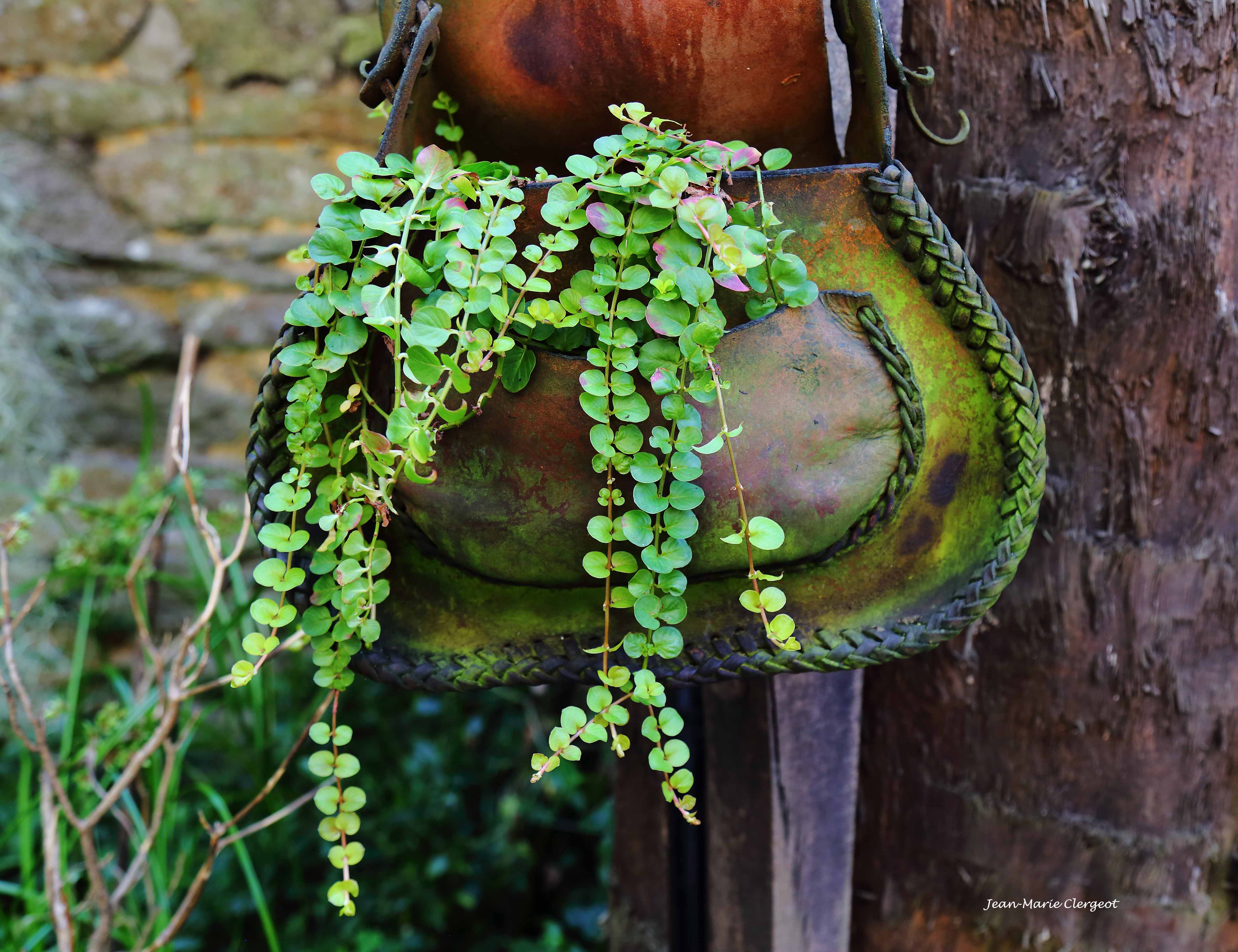2025 1733 - (La Gacilie) Sacoche d'herboriste ?